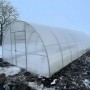 Теплиці 6x12м